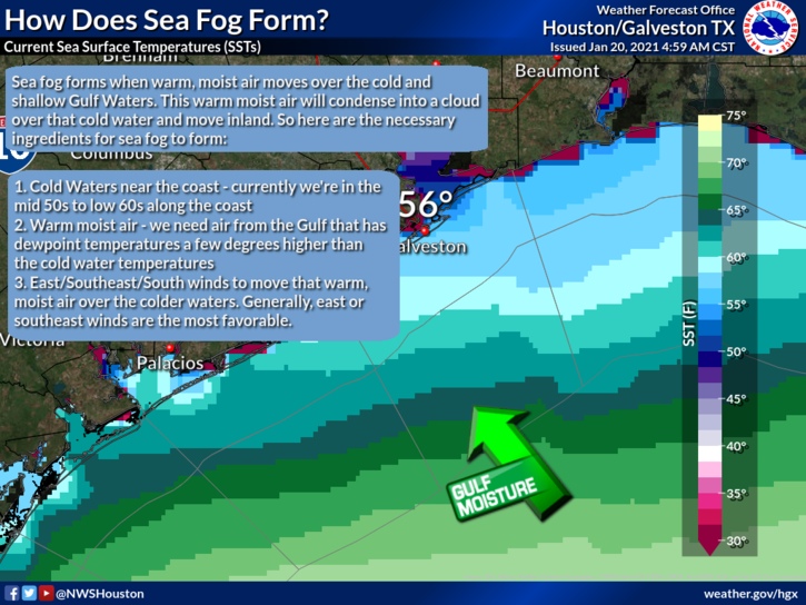 How Does Sea Fog Form?